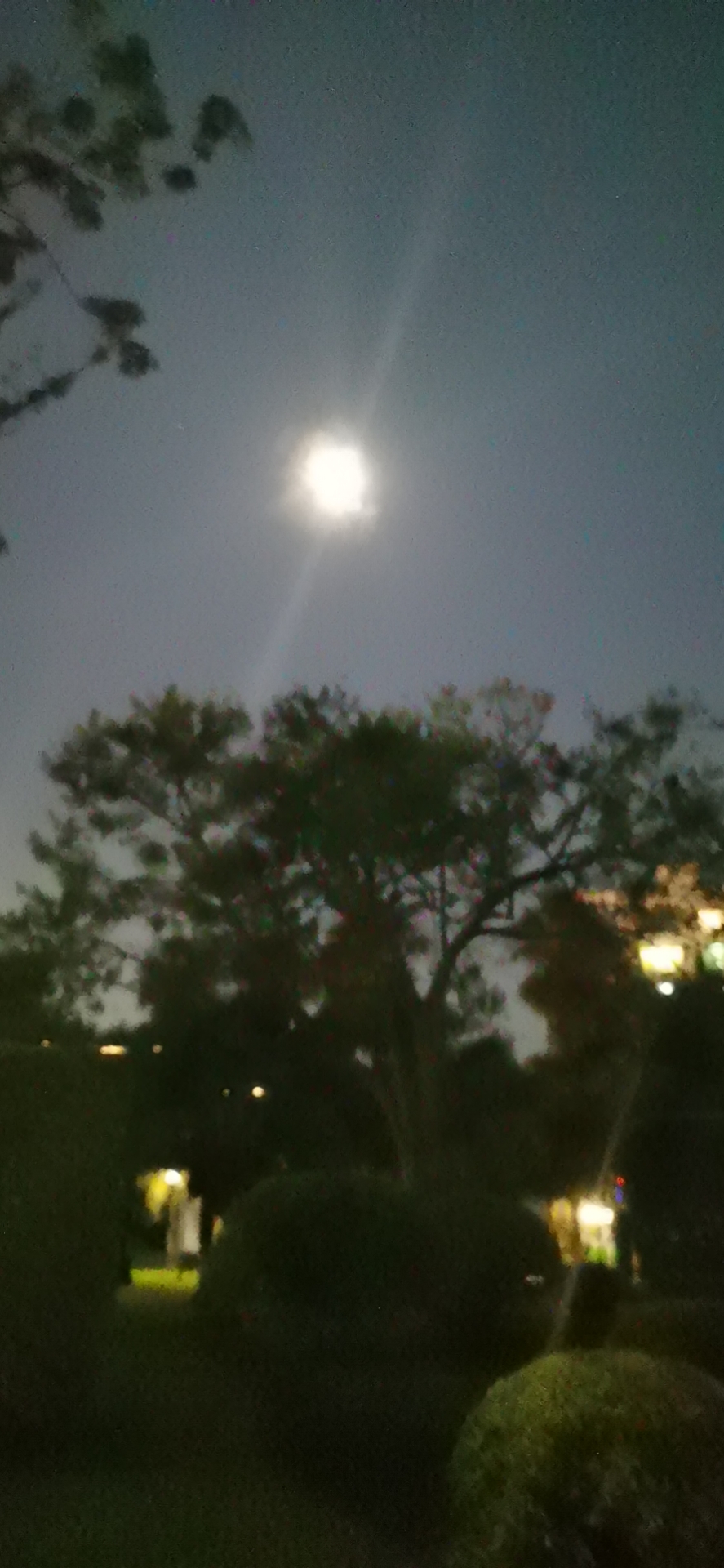 明月几时有