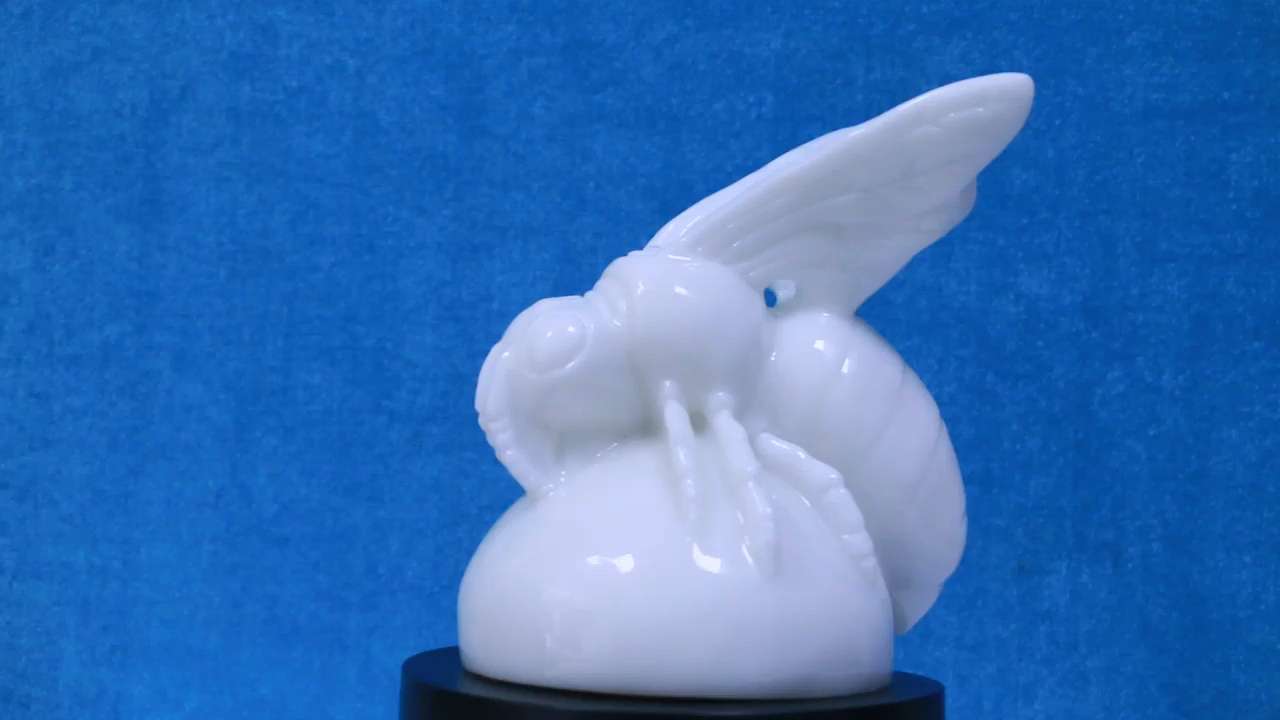 健康守护神蜂王