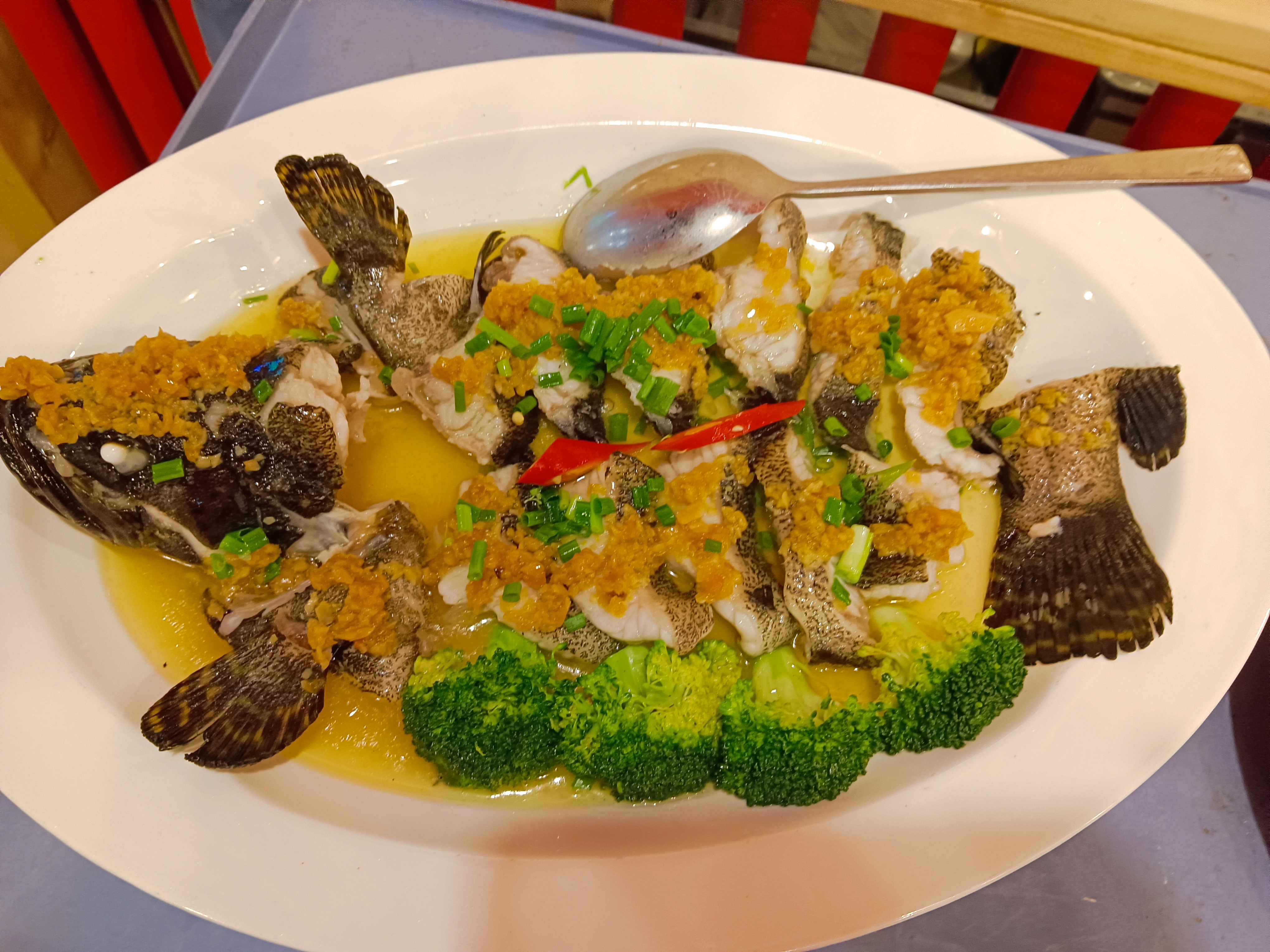 寻桂峰餐厅欢迎您的到来