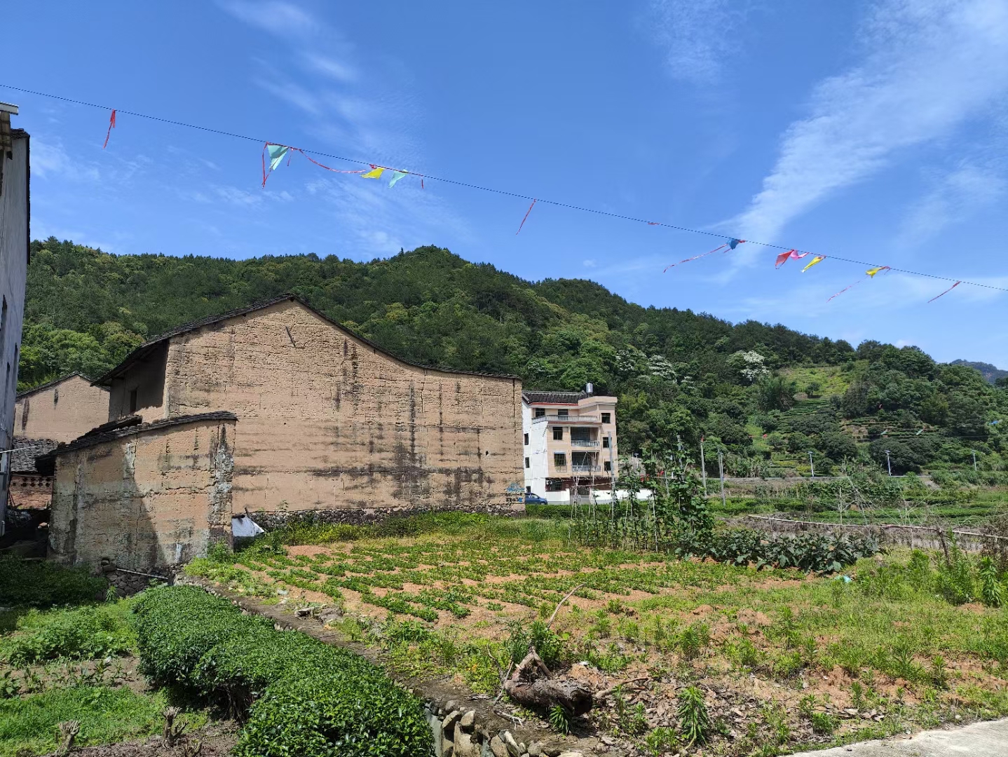 中国历史文化名镇一一霍童镇
​位于宁德市蕉城区。
渡头村林氏，明万历年间从漳浦县乌石苑上村迁移至此安