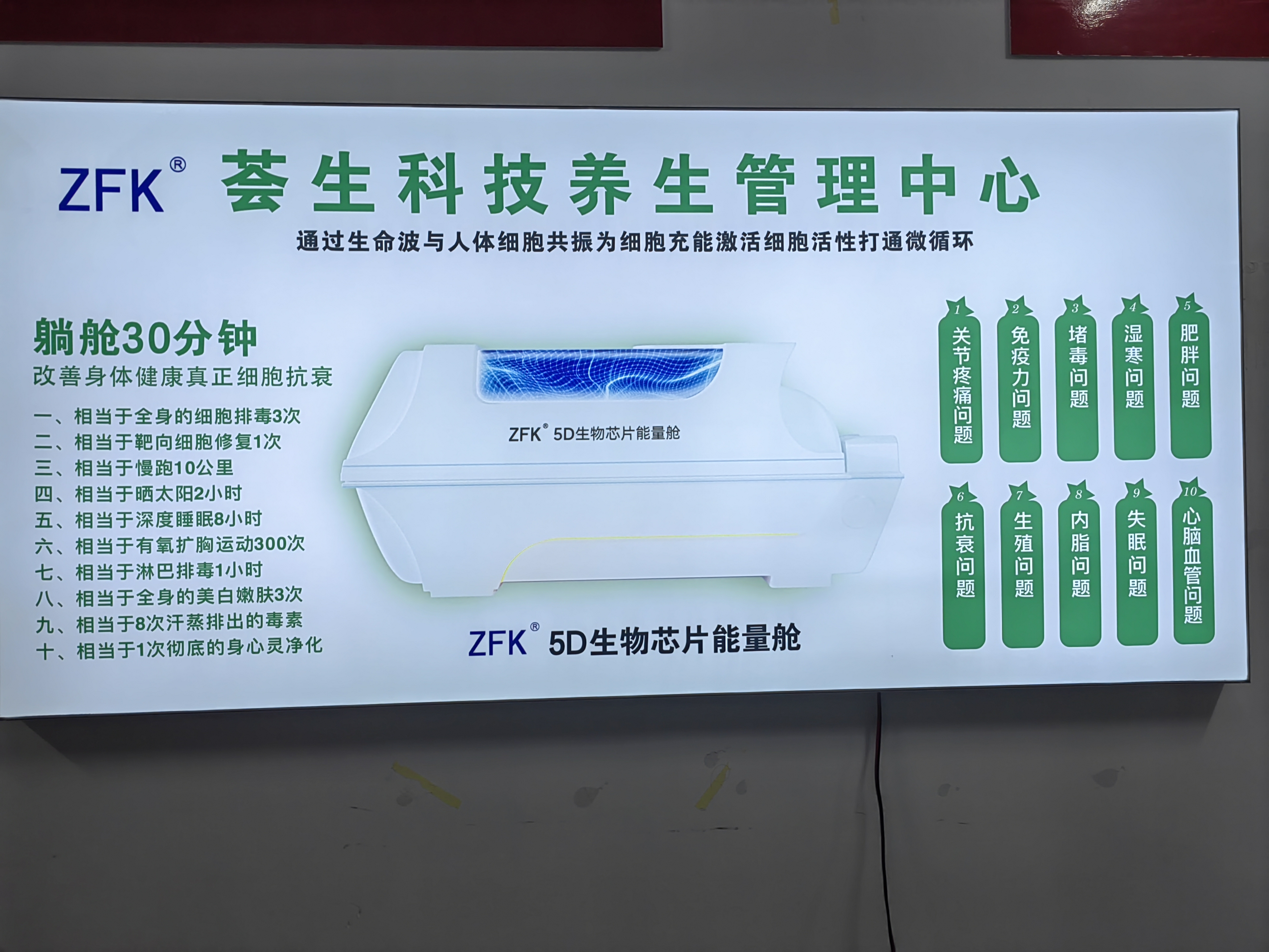 ZFK   5D生物芯片能量舱