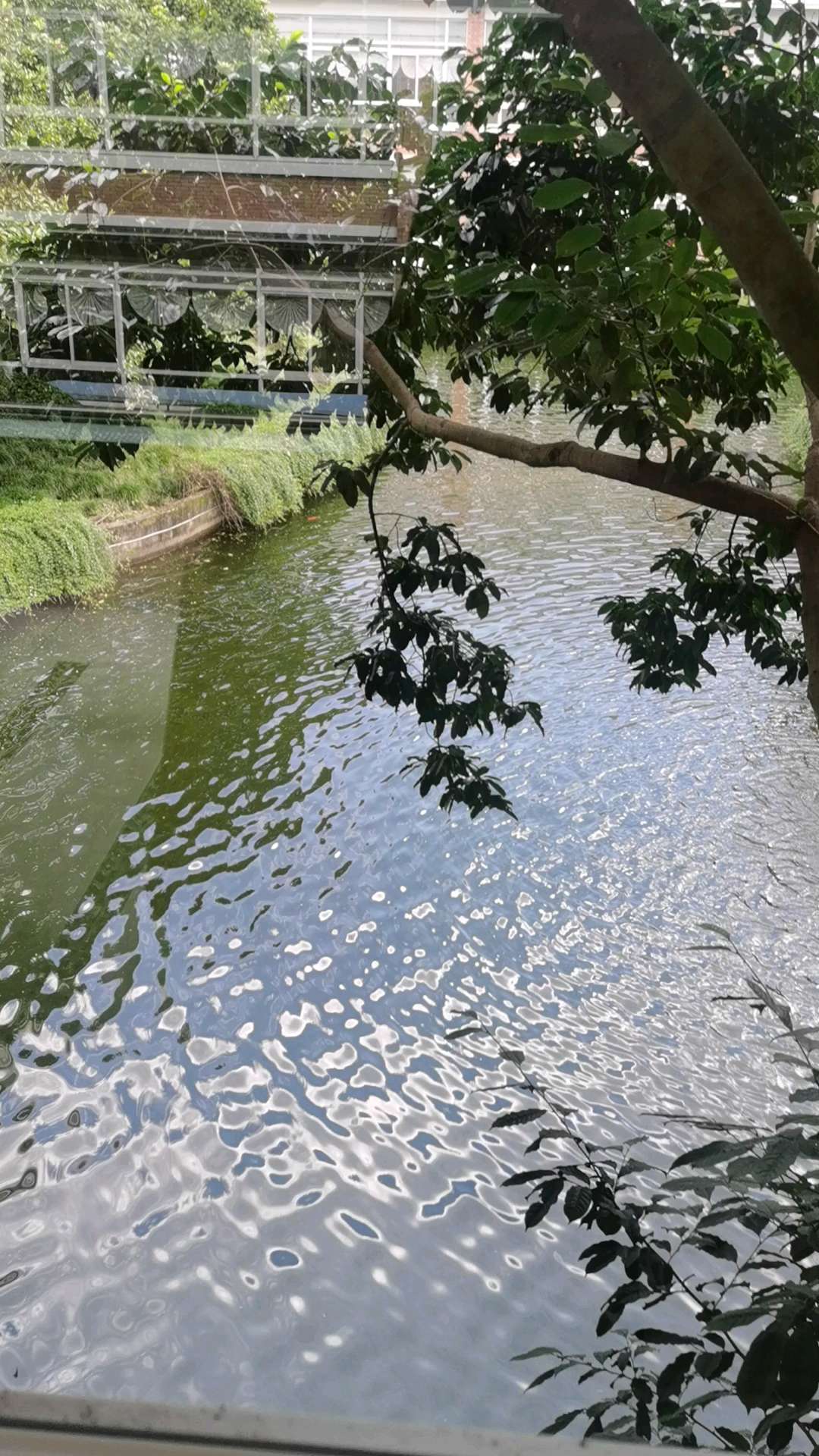 人生如磨石，只有不断努力，才能打磨出璀璨的光芒。