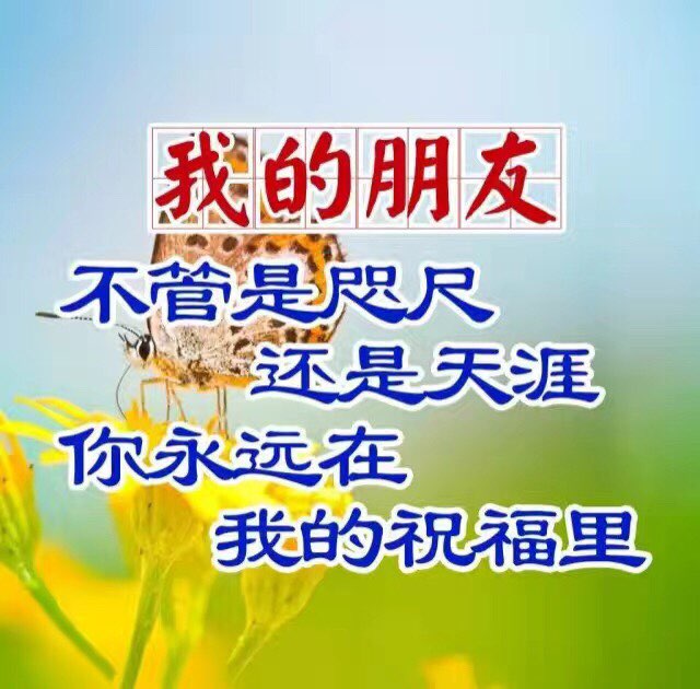 蛋白质，铁质，膳食纤维，碳水化合物，脂肪。我们的脂肪是身体需要的健康脂肪。不含反式脂肪。