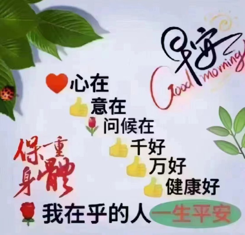 五谷食为宜，无豆则不良    有人需要联系我