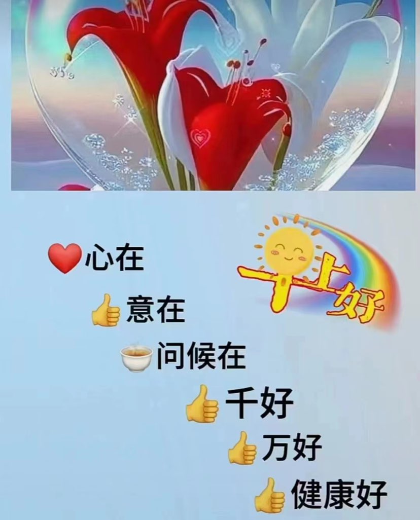 五谷食为宜，无豆则不良    有人需要联系我