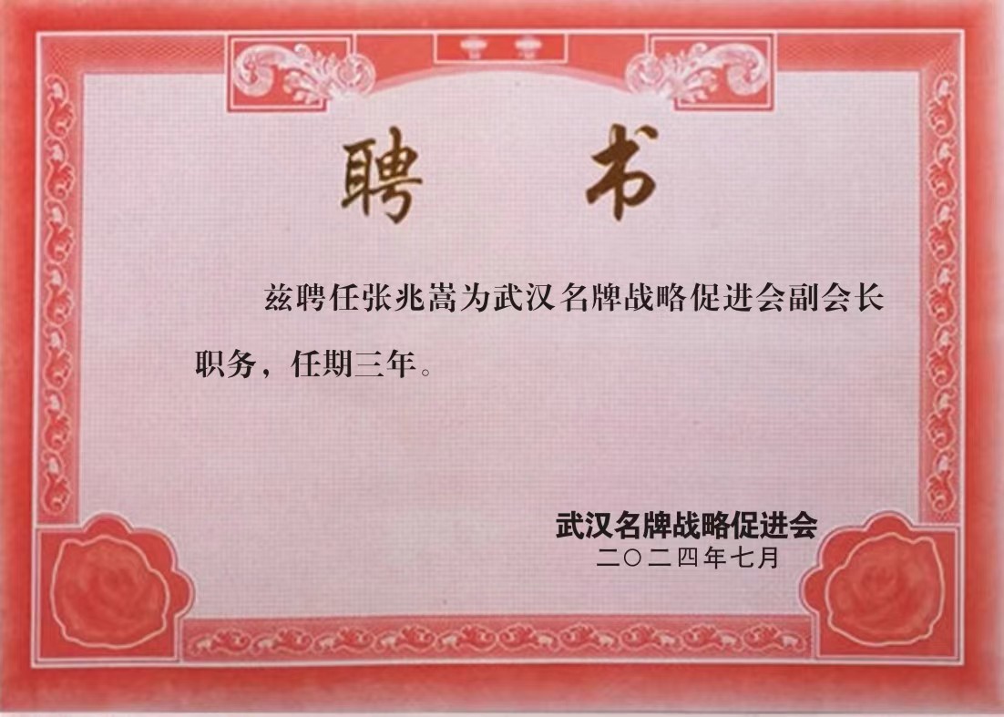 武汉名牌战略促进会十大战略核心