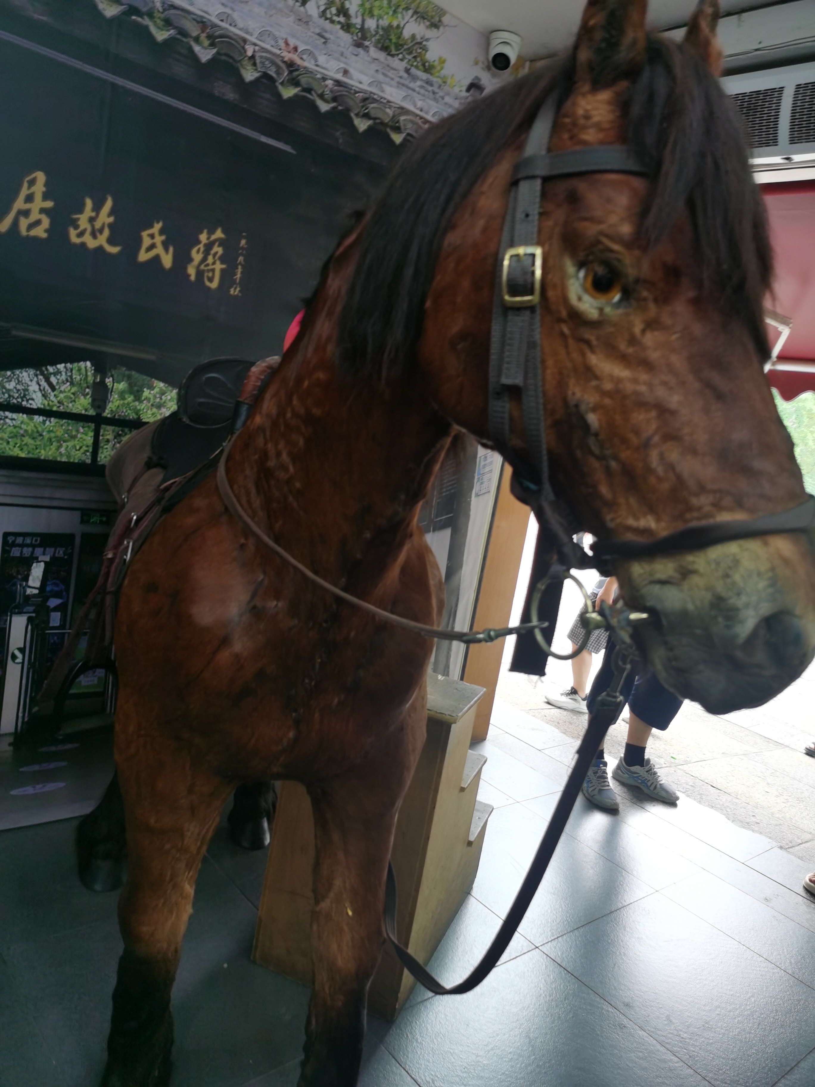 人的潜能是无限的，努力一把，才知自己真正的实力。因为树的方向，风决定。人的方向，自己决定。