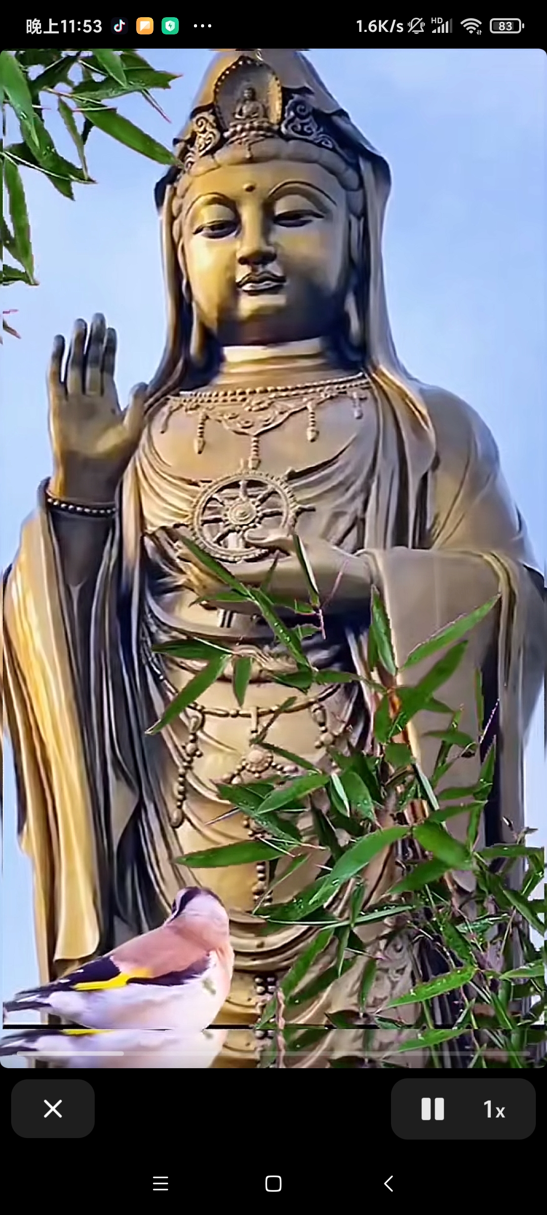 七月初一吉祥☀️🌹🌹🌹