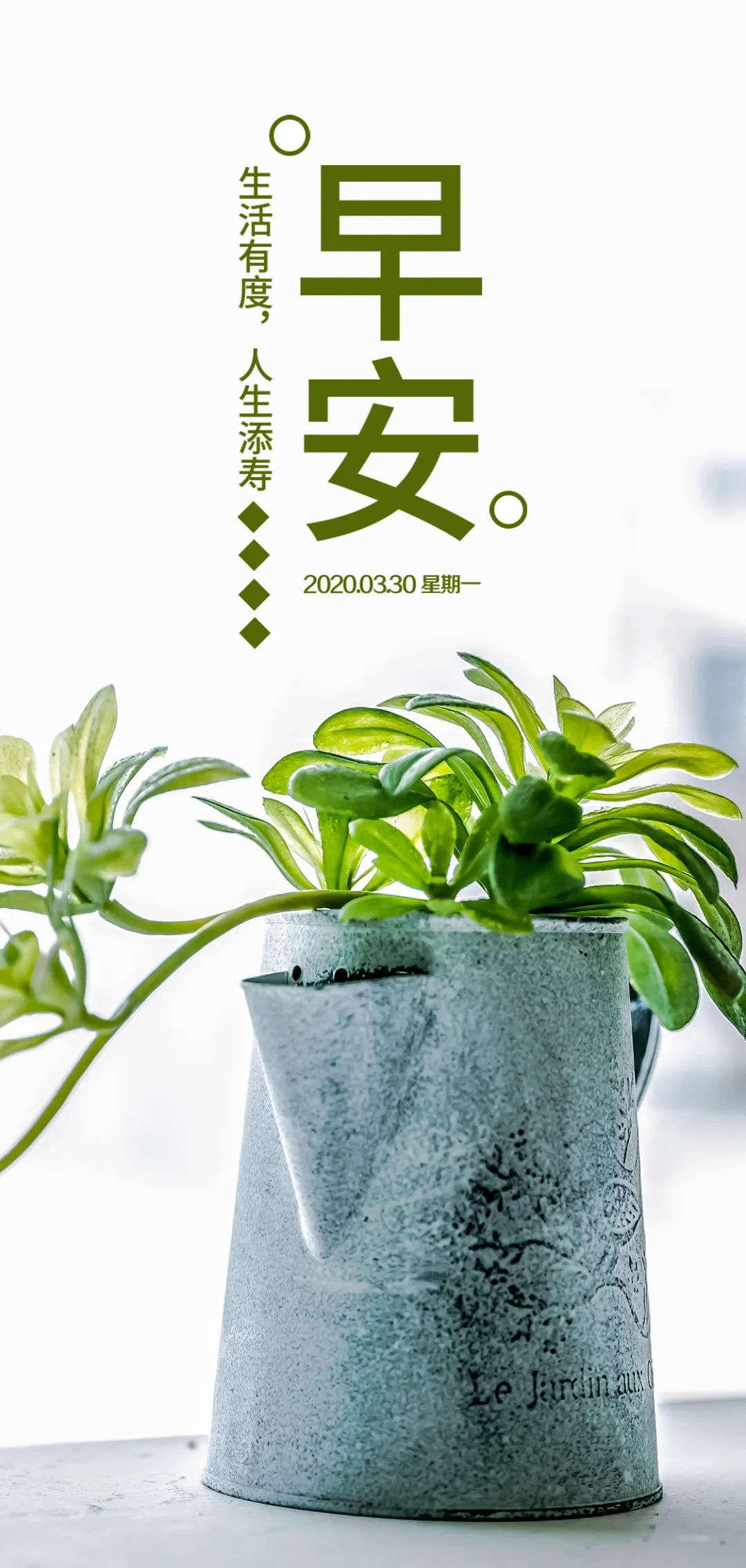 清晨的阳光照进心房，愿你携带着满满的正能量，迎接每一个挑战。早安！