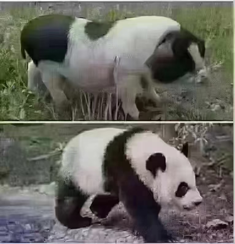 🍓当别人给你分享事业
你说：这个和那个一样
这个和那个差不多 
能一样吗⁉️
不深入了解能行吗⁉️
