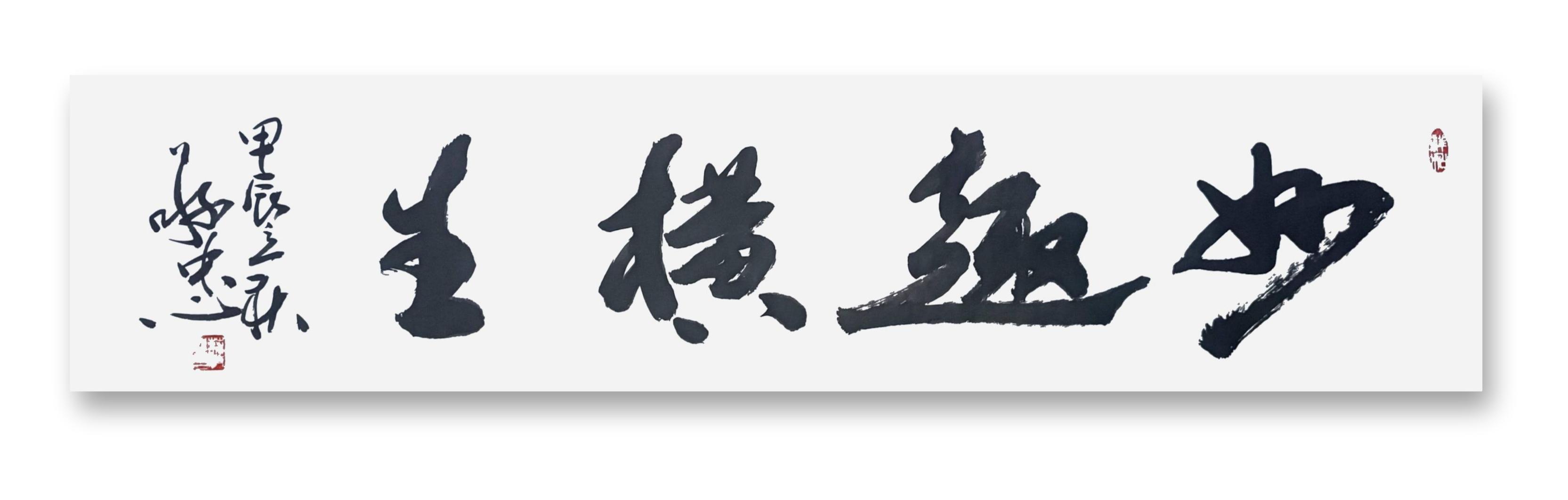 书法作品：《妙趣横生》🌹🌹🌹