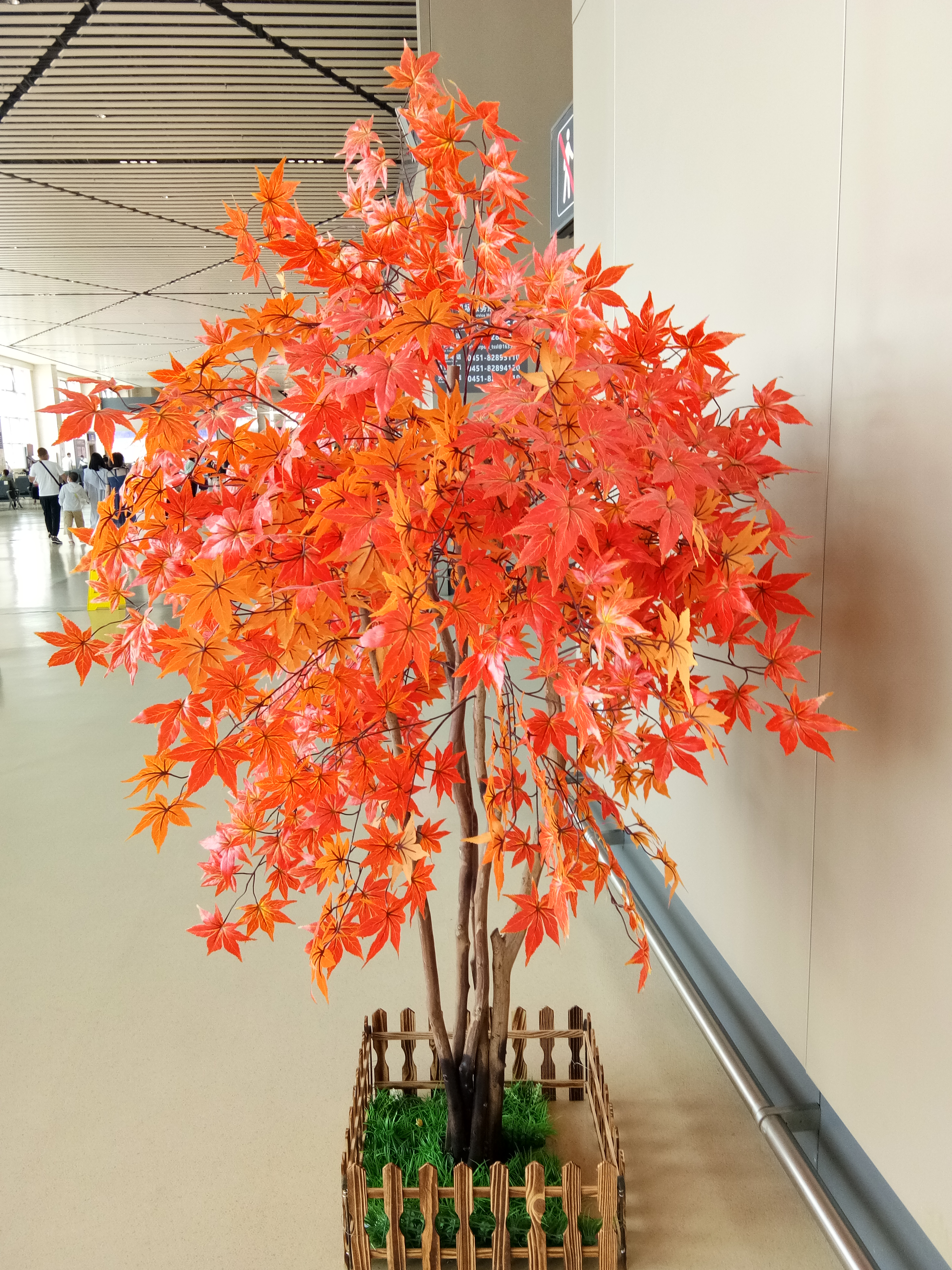 花落谁家