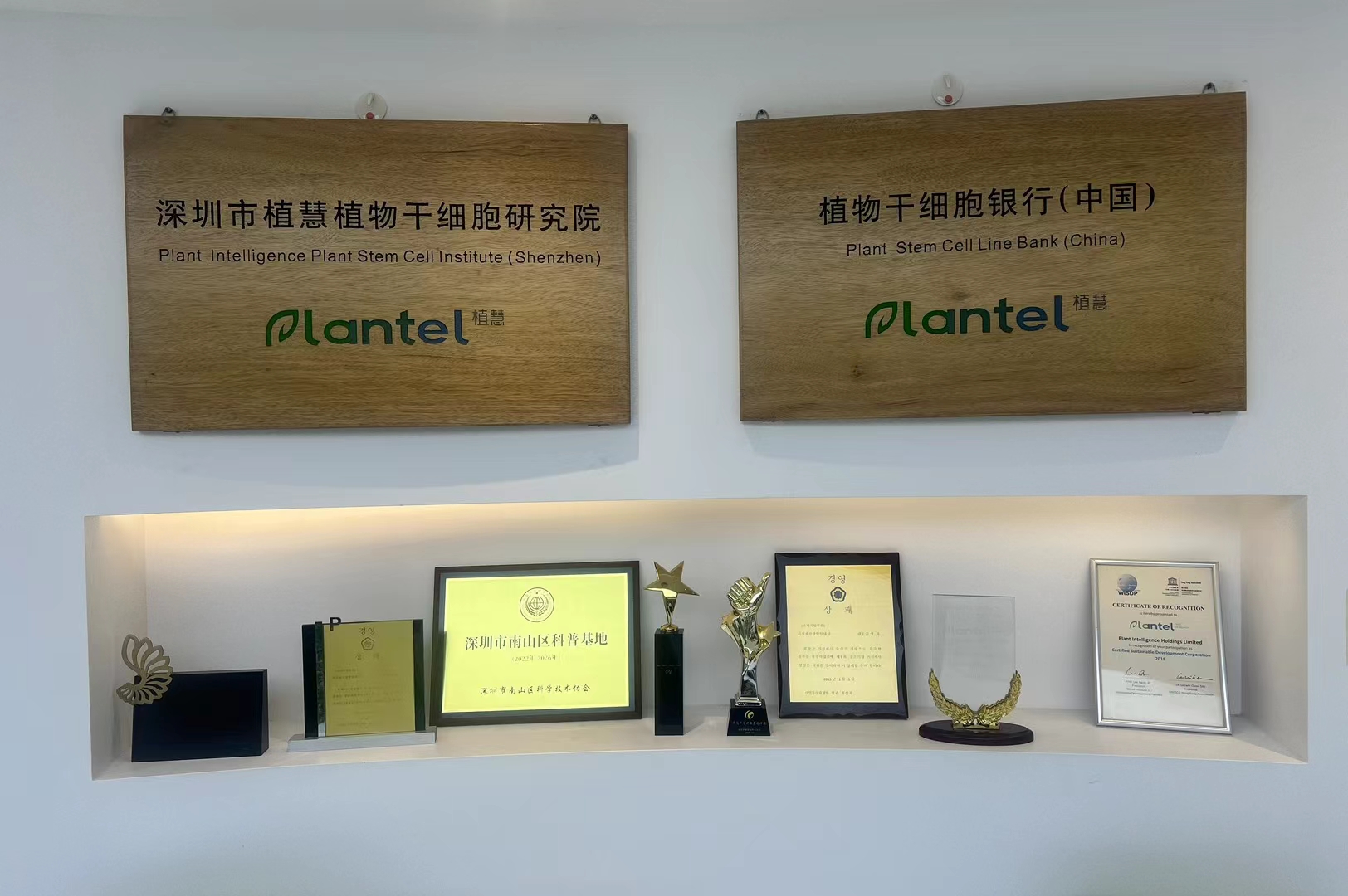 植物饮品来源+AI自动销售。对标两个数据。