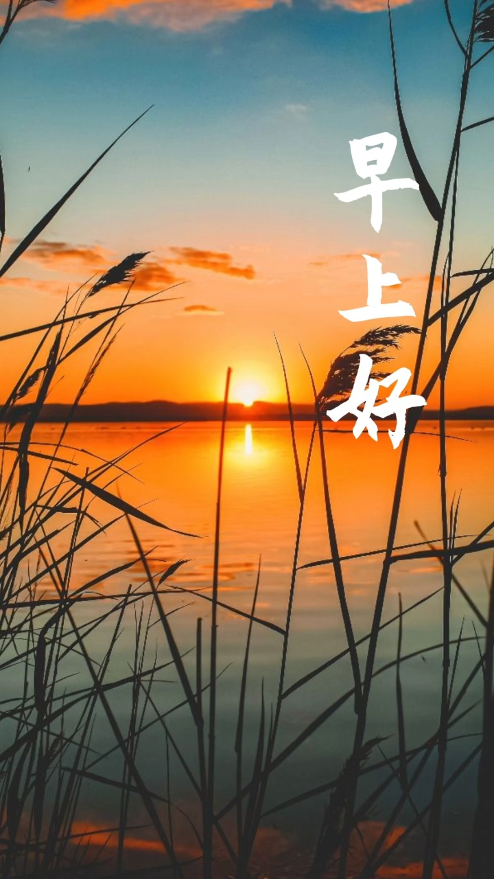 清晨的每一刻都值得珍惜，早上好，愿你把握当下，享受美好。