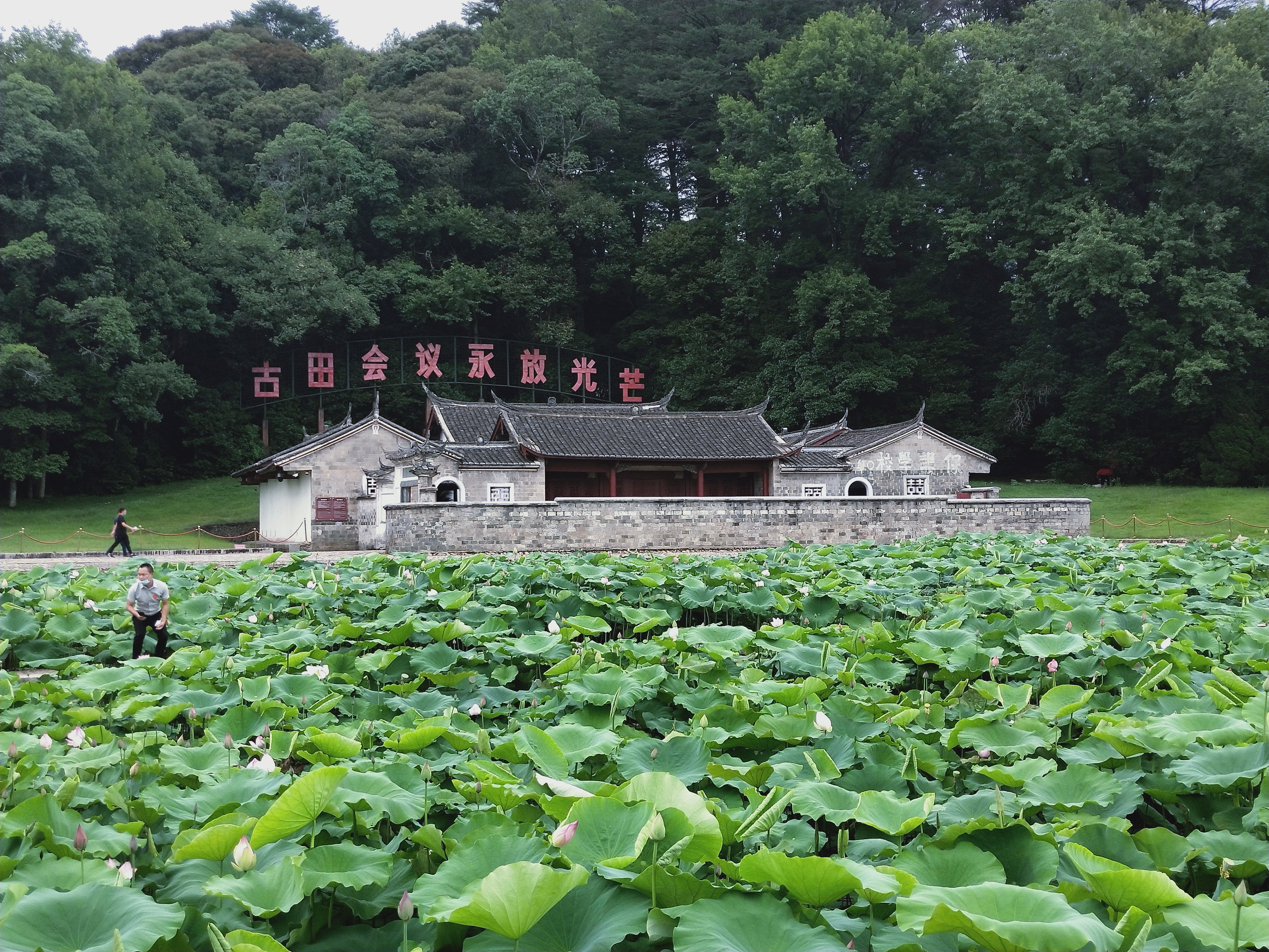 打开即得，即看即得。成功从古田开始。
