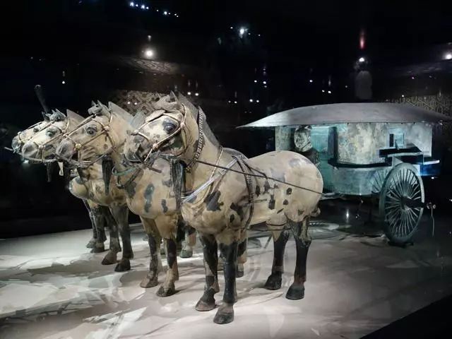 兵马俑要挖700年还不一定能挖完。
古代几十万人干的活，如今靠乌龟人力资源推进，肥了一批人。
这是细