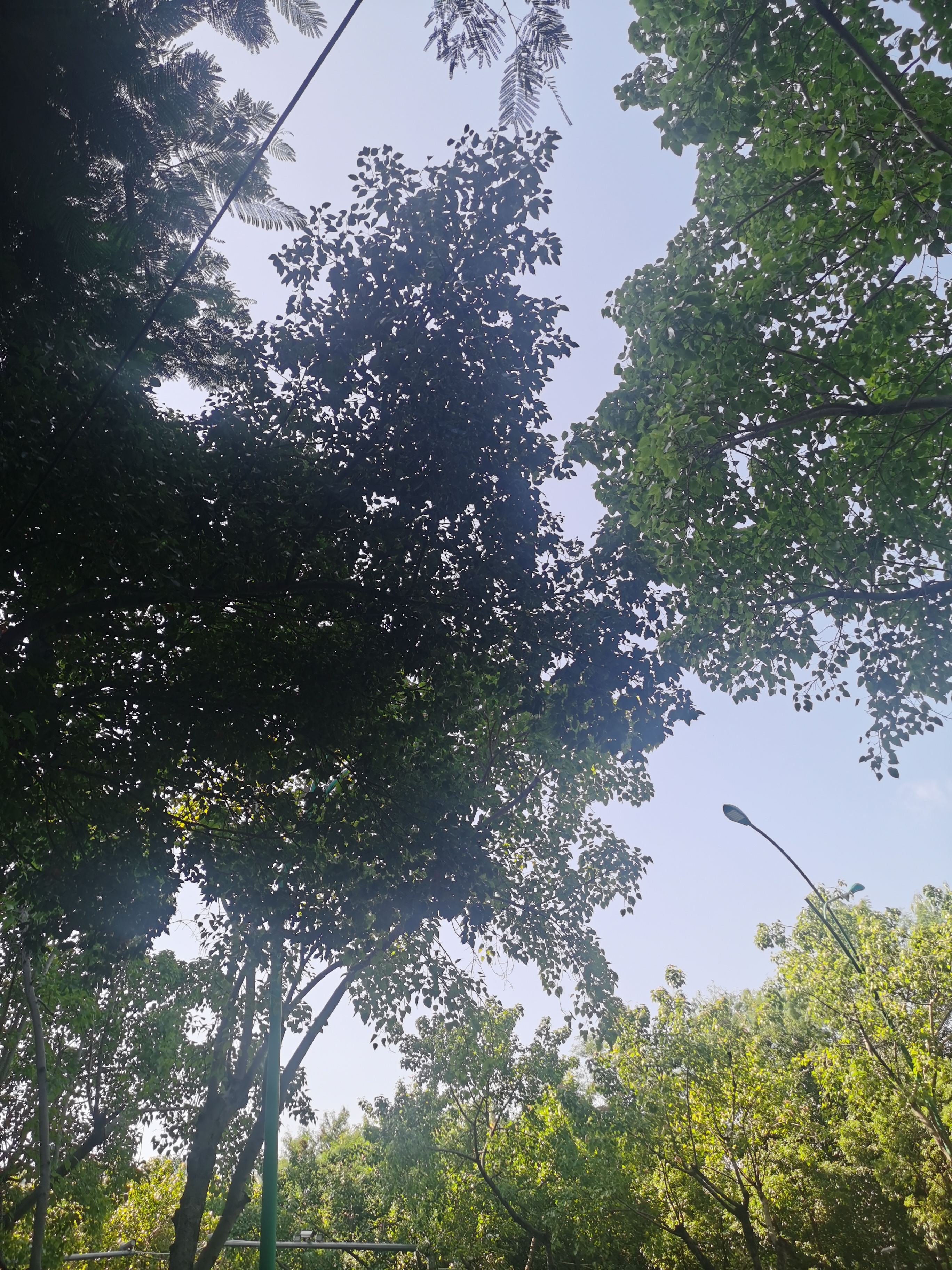 秋高气爽