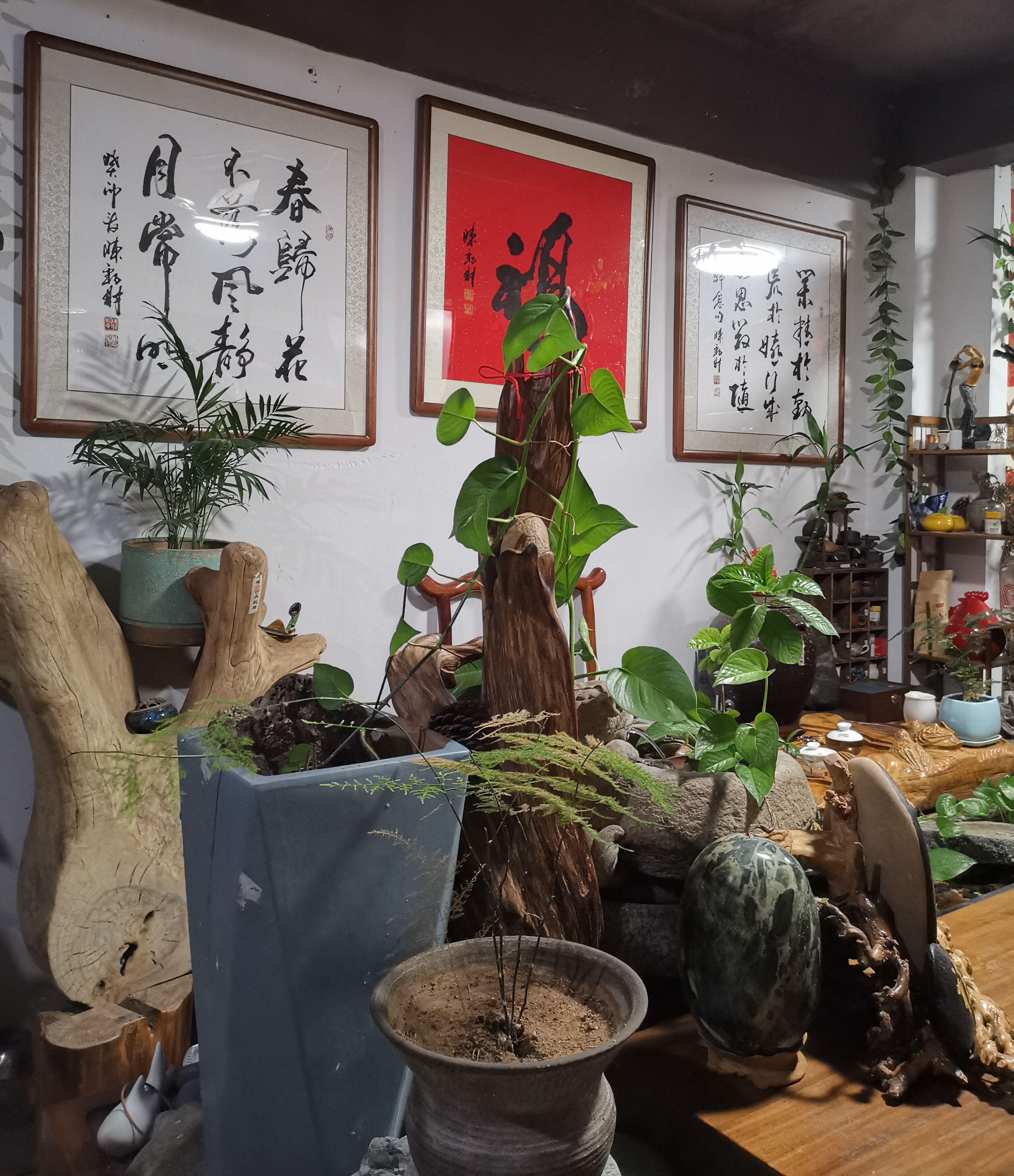 劲道文化陈劲财书法艺术工作室🍵🍵