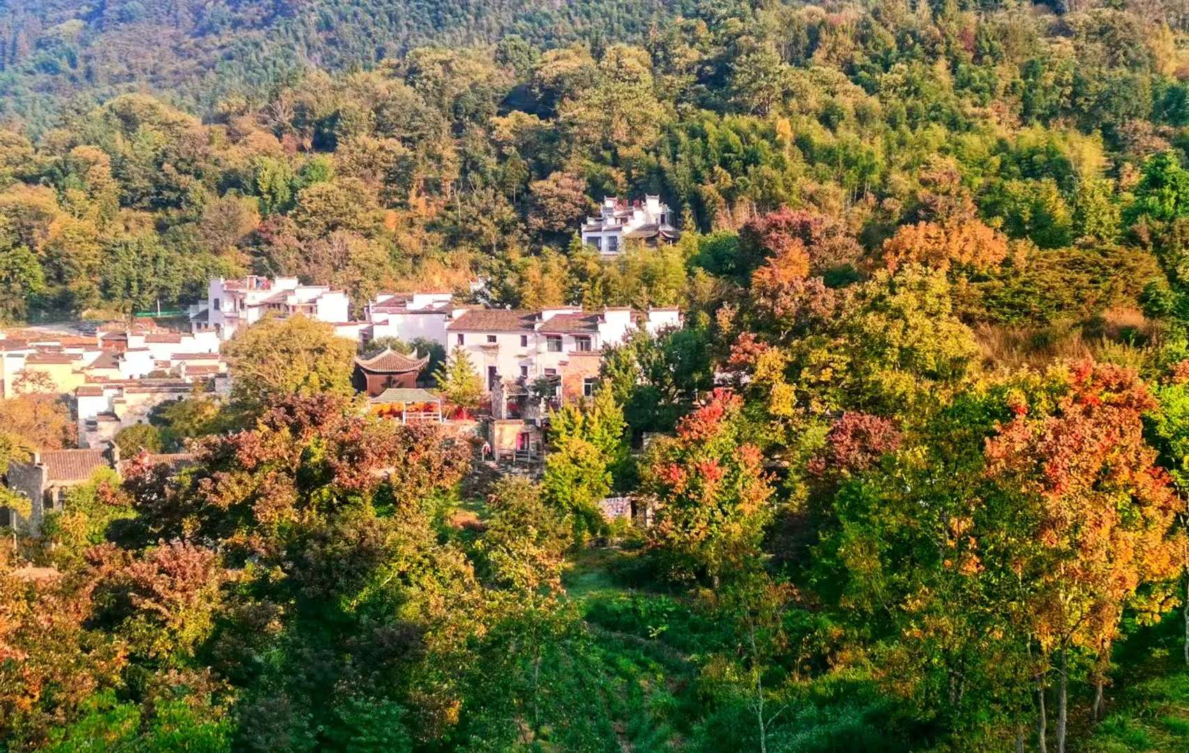 .
       潇湘游
读临风问天传图
           frt
远望秋山醉早阳，
嫣红姹紫胜