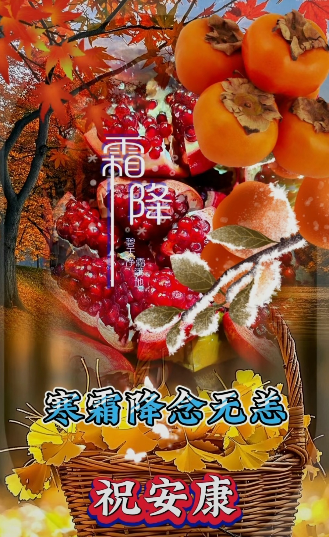 今日霜降，多吃柿子，祝大家紅紅火火，健康平安，财源广进，万事顺意！