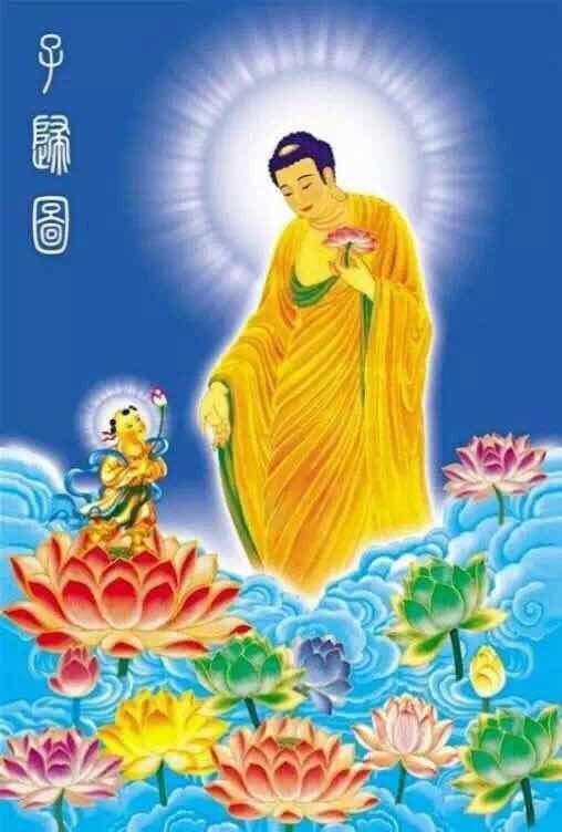 我每天发一次🙏🙏🙏南无阿弥陀佛🙏🙏🙏您每天看见了就念一句【南无阿弥陀佛】每天念一句，每天灭八亿四千劫