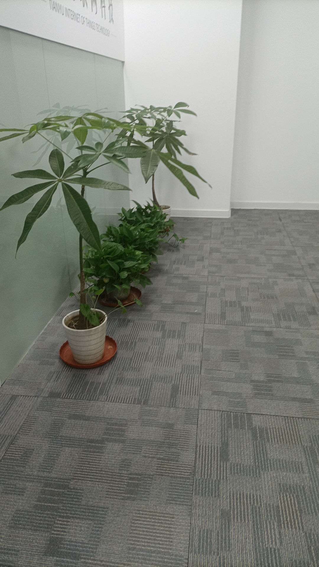 很认同一句话：
“所有的好运，都是你日积月累的善良。你若对他人散发善意，命运也必会给你惊喜”