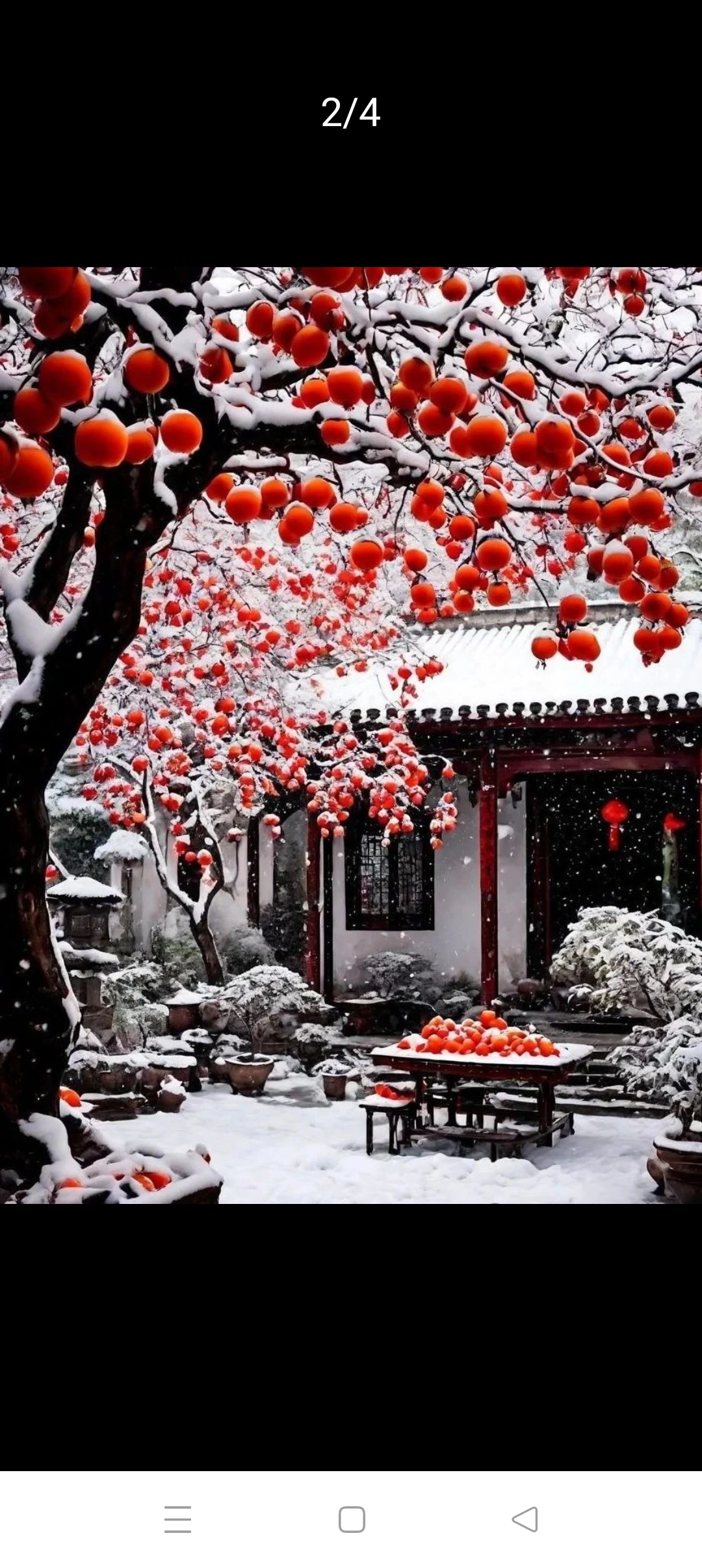 🌹见者杮柿如意，红红火火，鸿运当头。🍎