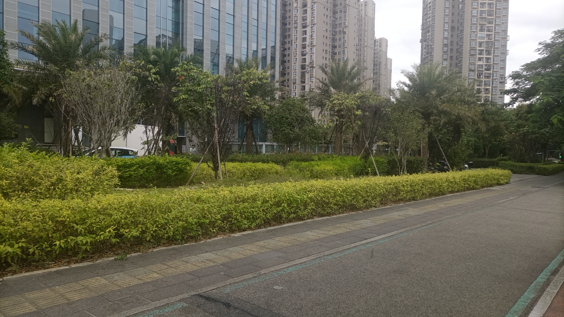 这个冬季来的猝不及防，从夏季一下子就跨到了冬季，风一动寒一重，愿所有人有衣暖身，有人暖心。