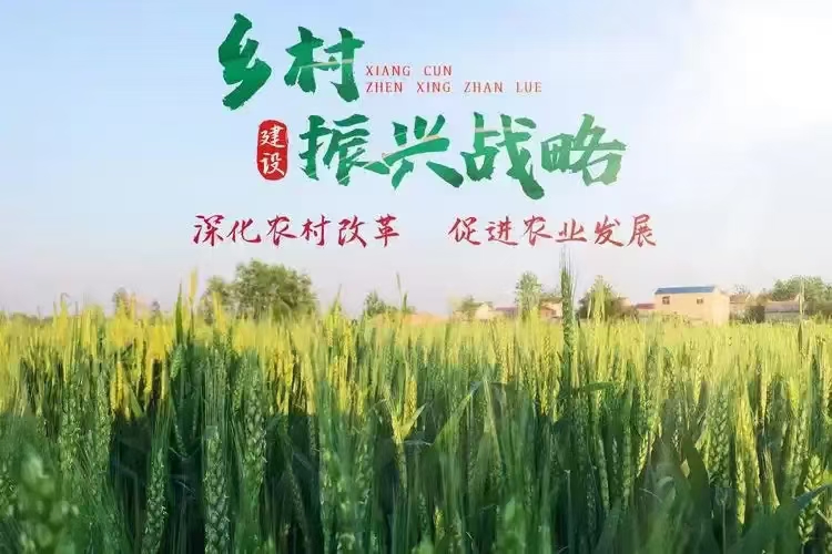 智慧引领商业  真诚链接人心
感恩成就梦想  服务稳定江山
698889  3399984  333