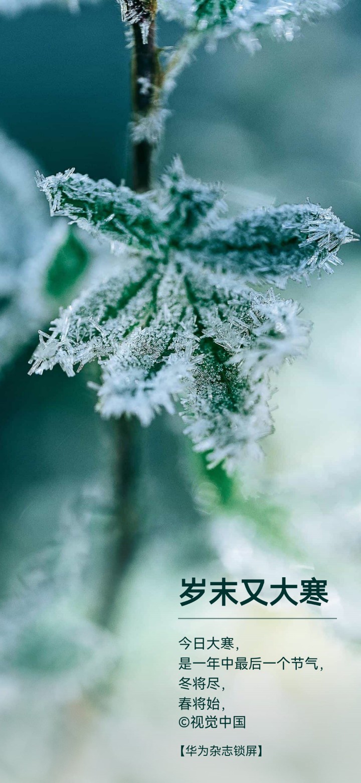 一朵鲜花打扮不出美丽的春天，一个人先进总是单一槍一匹马，众人先进才能移山填海。