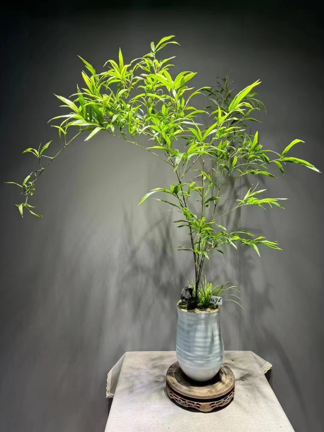 不管在什么年纪，都别辜负最好的自己！把每一句‘我不会’，都改为‘我可以学’；把每一句‘我不敢’，都改