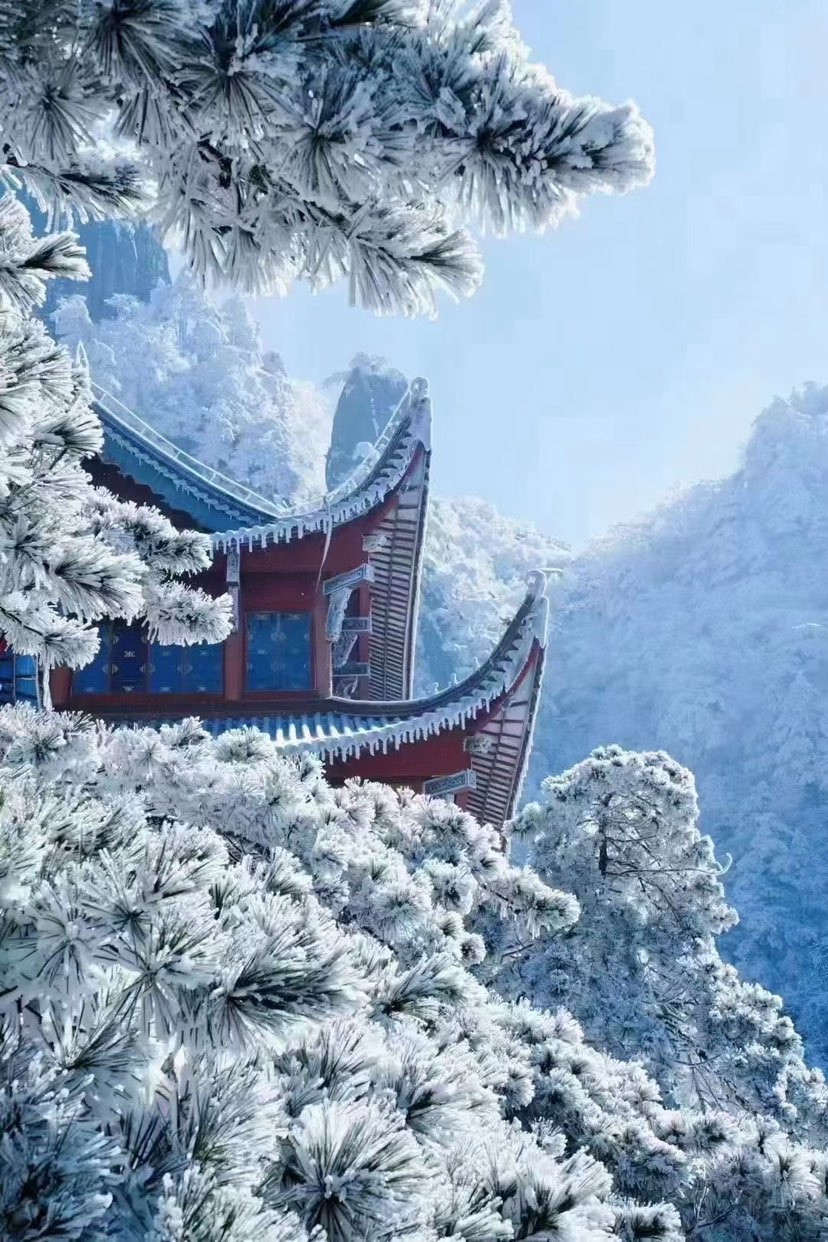 好久没有见到雪