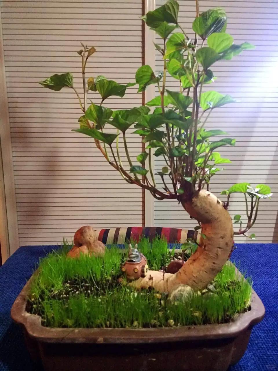 不是每一次努力都会有收获，但是每一次收获都必须努力，这是不可逆转的