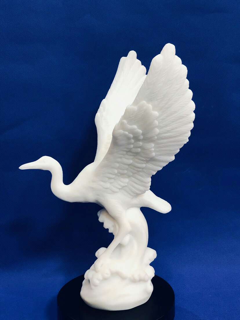 厦门白鹭