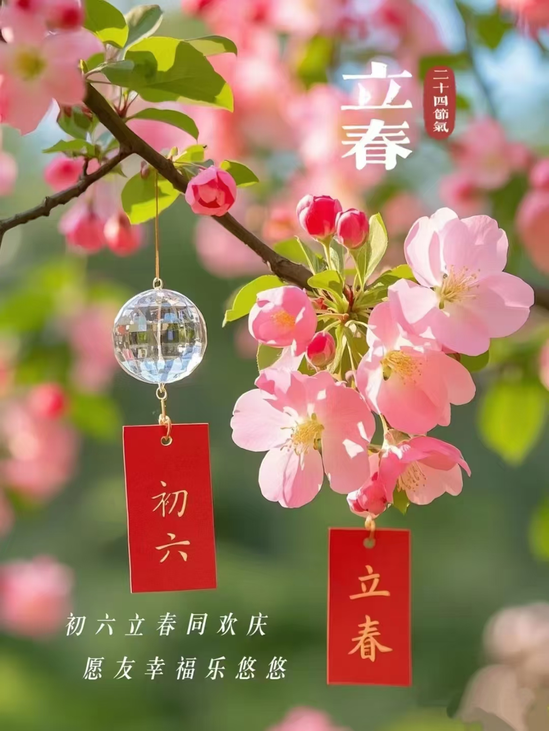 今日立春，正月初六，六六大顺，一顺百顺。