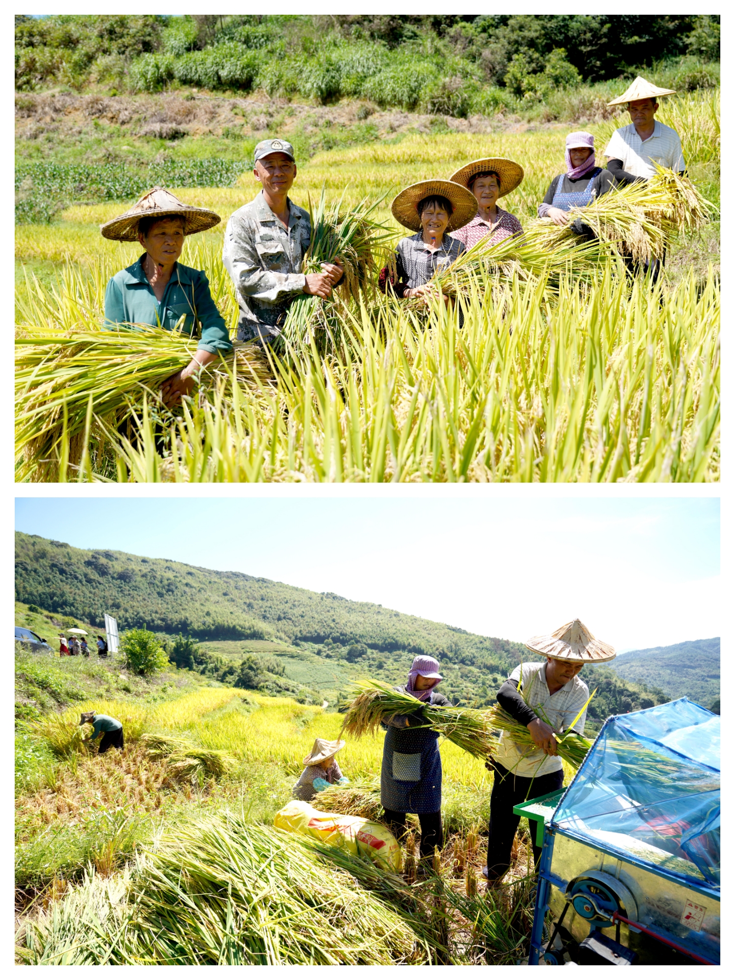 富硒大米，高海拔种植，营养价值高，口感好，需要的，13615071589下单，每盒五斤，每斤15元包