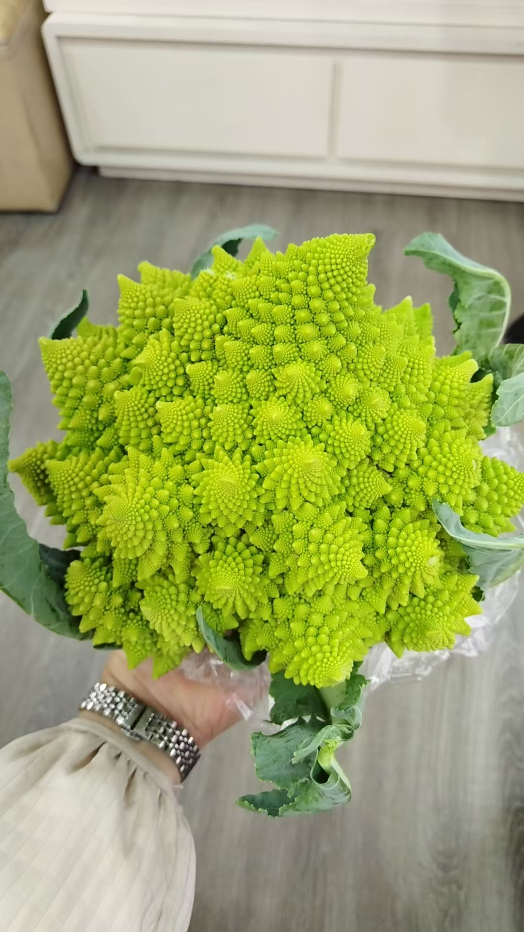 宝塔花菜太美了 👍🌹🌹🌹
​
​
