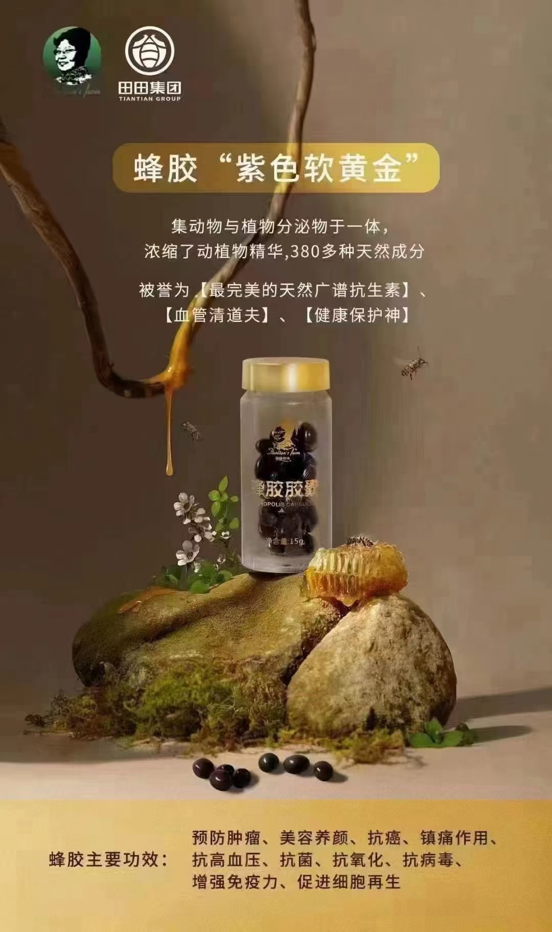 即得分享，分享即得