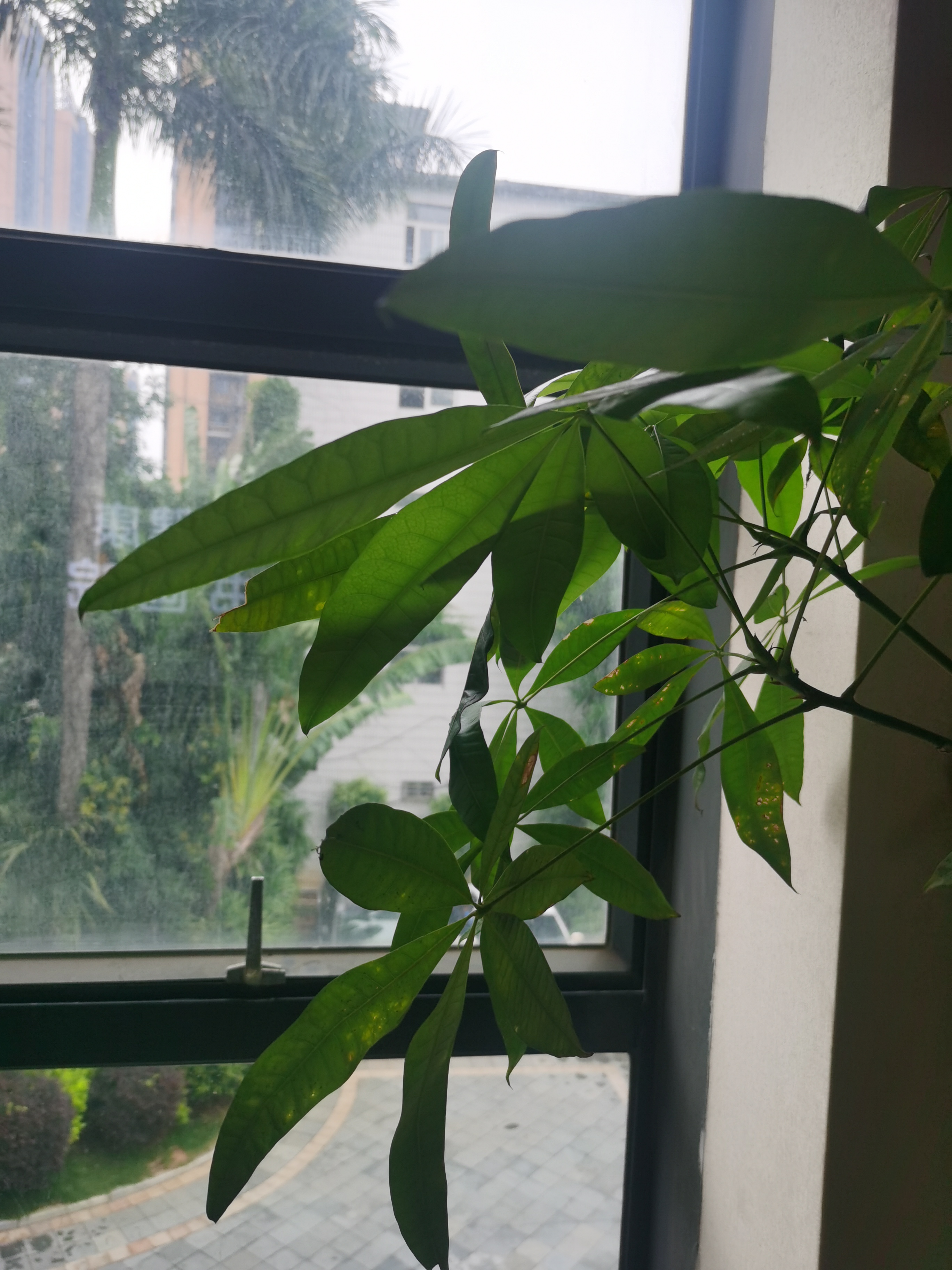 站在未来看现在，所有‘不可能’都是写给奇迹的伏笔。”*