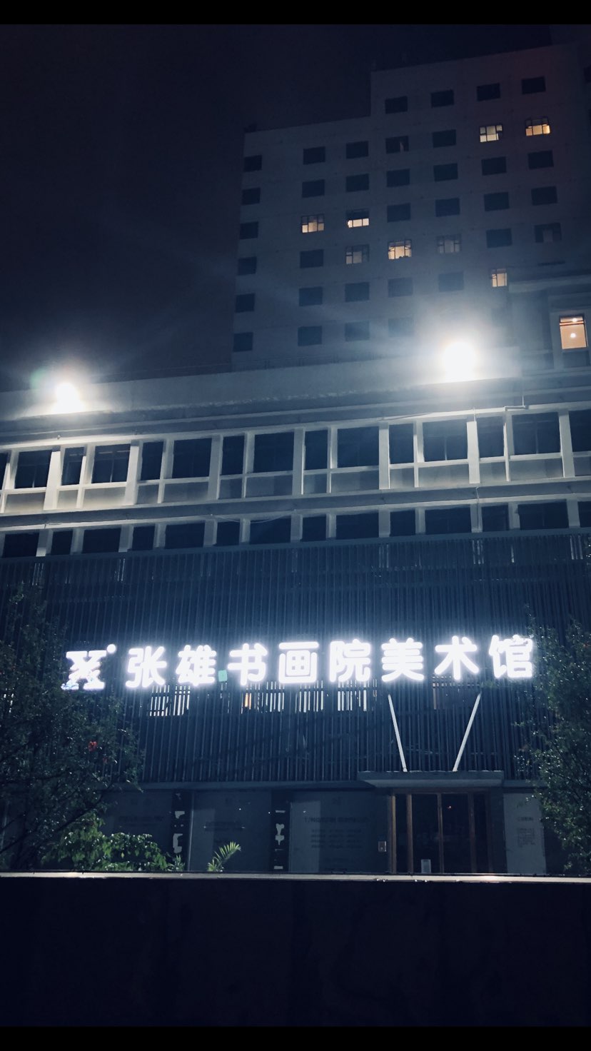 张亚雄，1974年10月生于福建泉州市。他早年从事石雕艺术，2006年创办张雄书画院，2013年创办