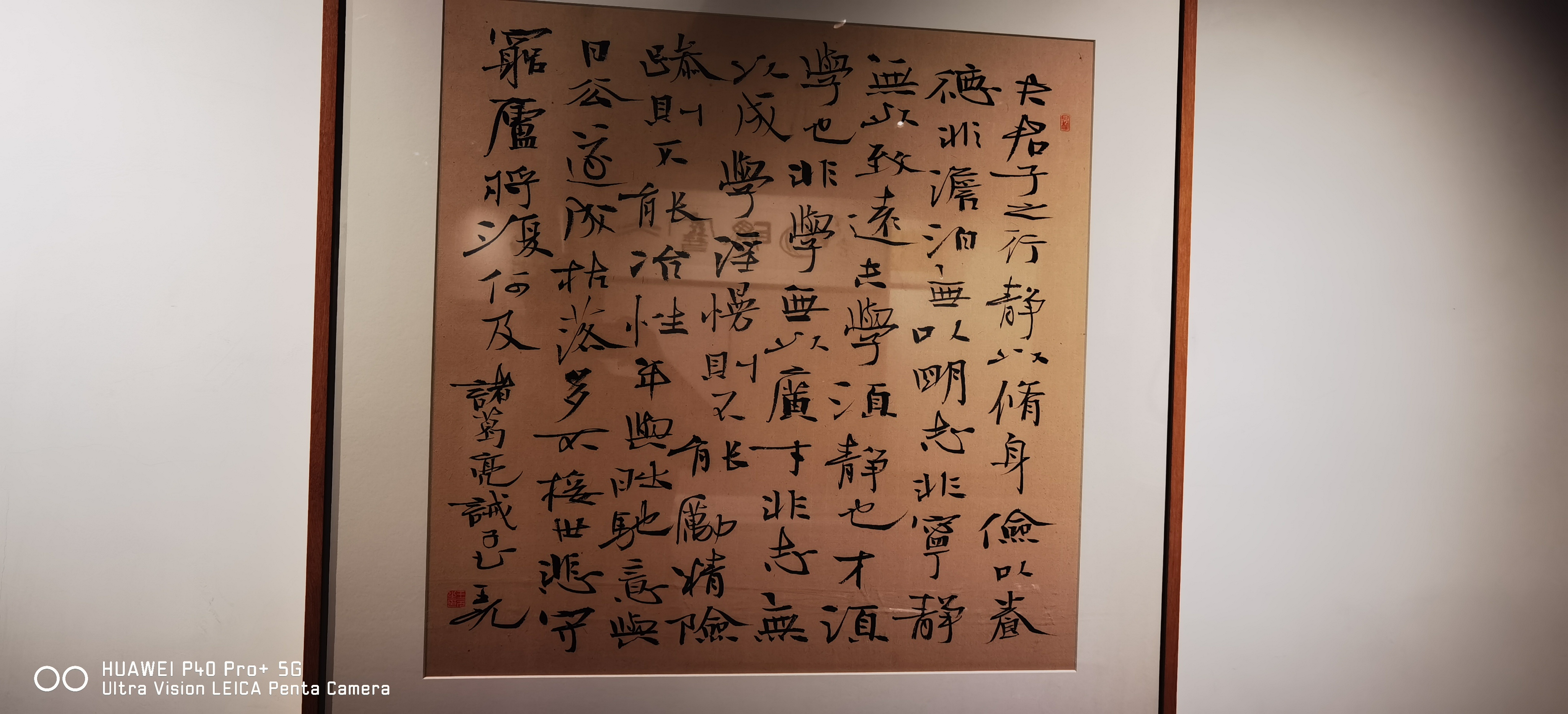 王元老师作品