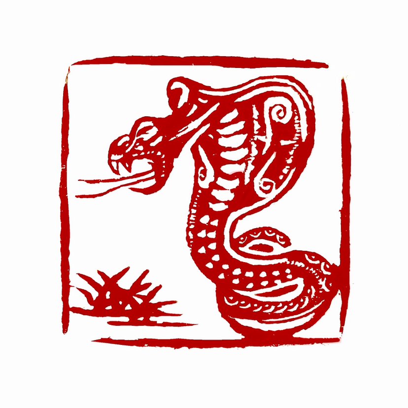 【一日一印*蛇中有先】“蛇中有虎”指阴阳与性格的融合‌。虎代表阳刚、勇猛，蛇象征阴柔、智慧，“蛇中有