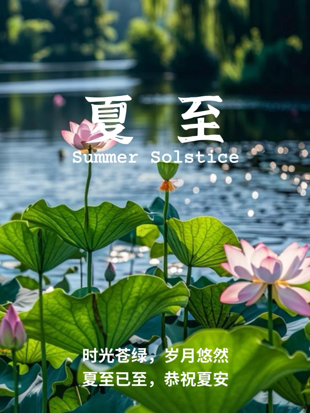 🌞夏至，是光明最为长久的一天，它就像一道璀璨的曙光，照亮了世间的每一处景象。