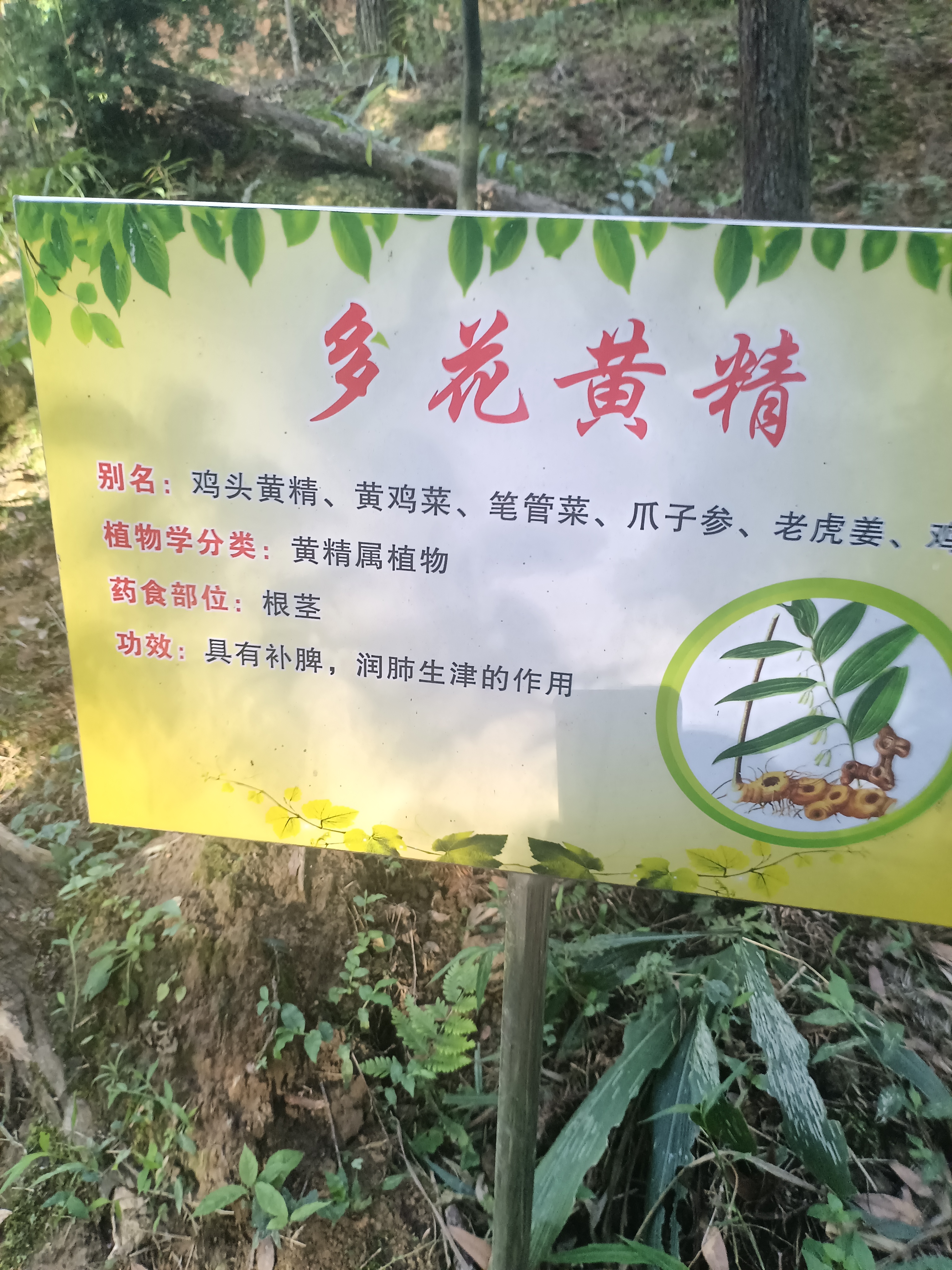 厦门金门门对门，
共和平定台湾省。
台湾一定要回归，
炎黄子孙共辉煌！