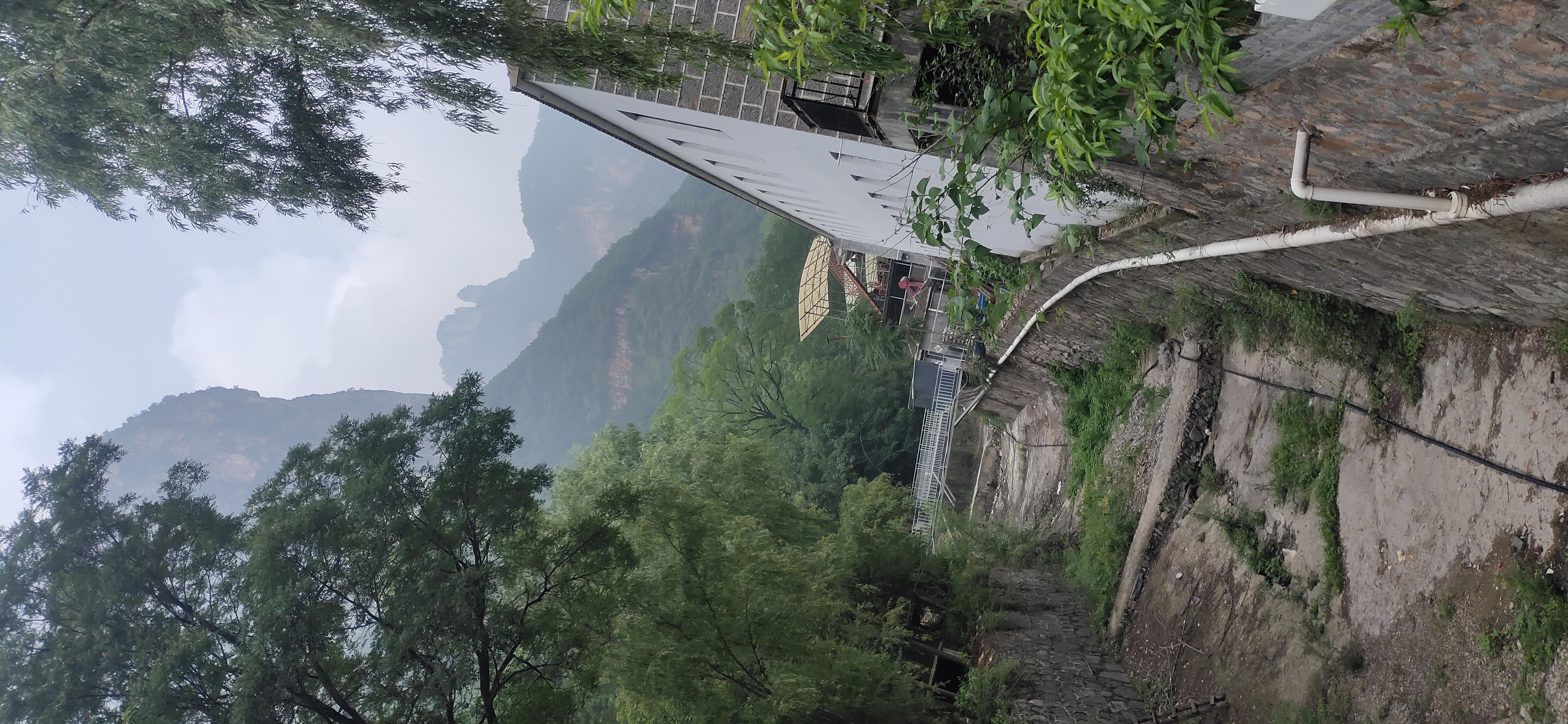 敬畏自然，畅想凝神。目识心记写本心之生生不息，岂不美哉！