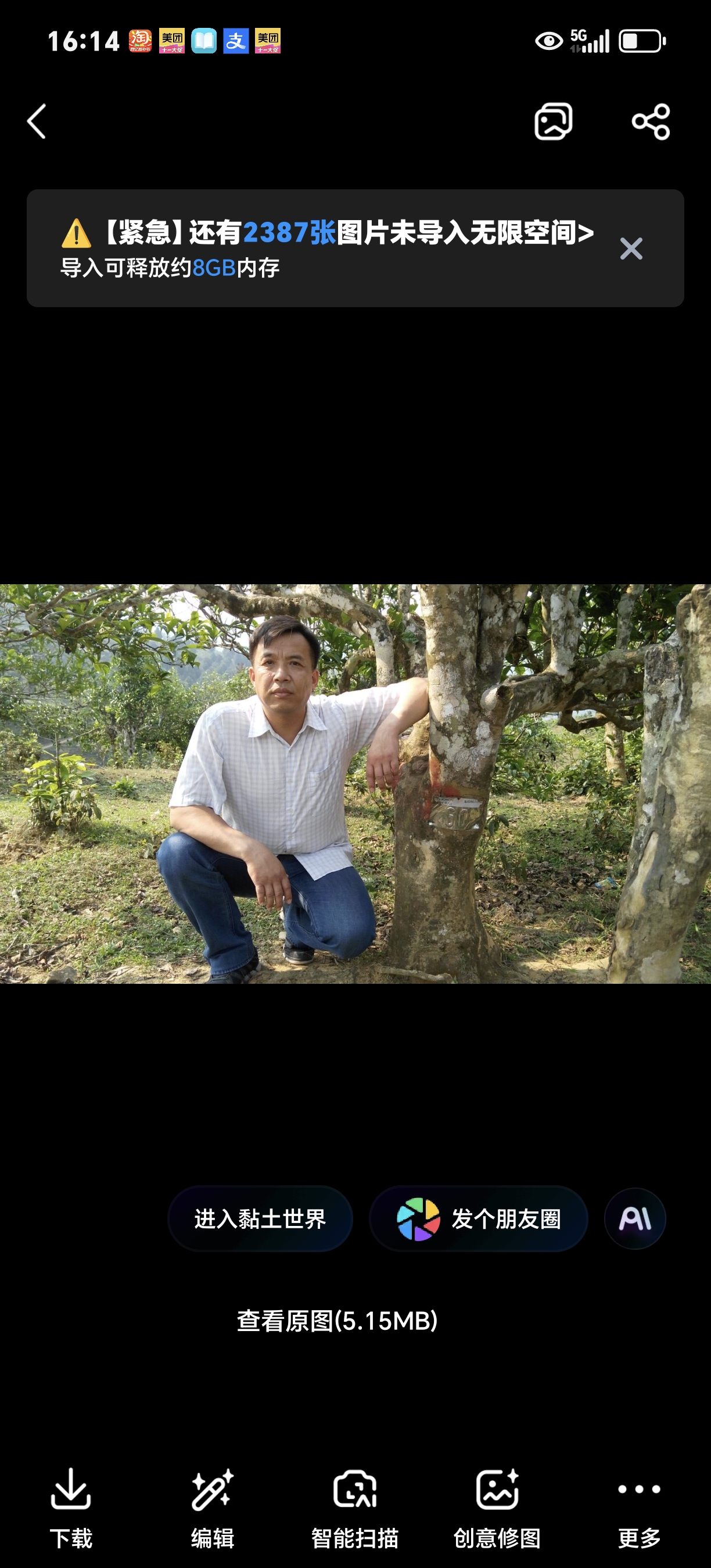 都是二百年以上的古树茶