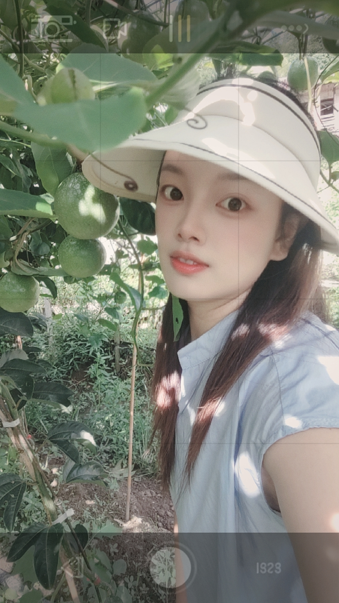自己果园，现摘现发，纯甜钦蜜9号百香果
纯甜果，全国顺丰包邮😎😎😎
