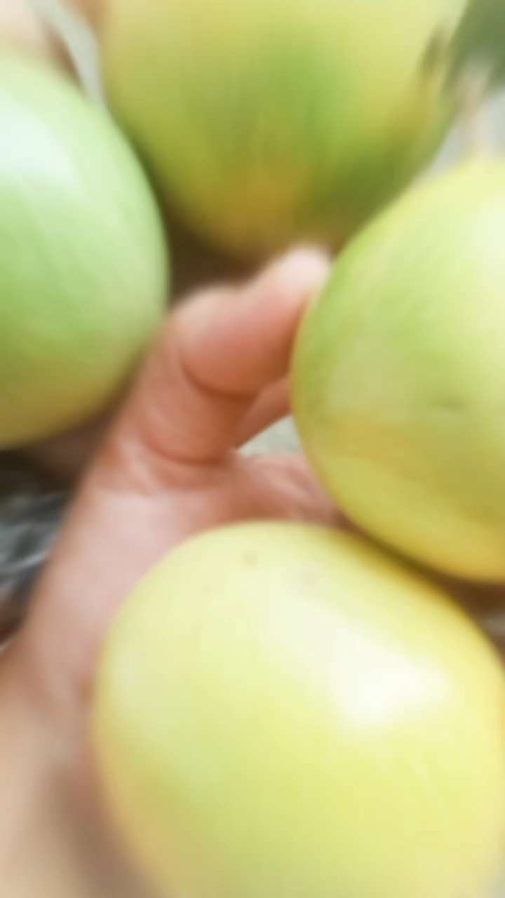 自家种的黄金果
酸酸甜甜的