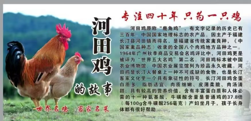 雁格格河田鸡供应链