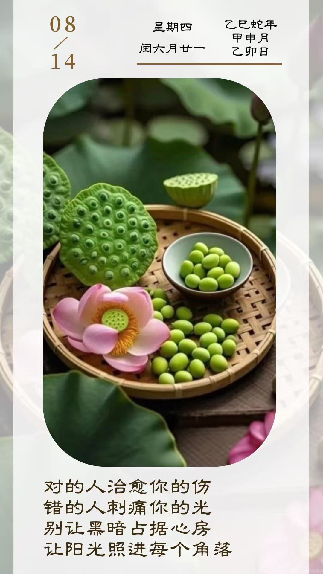 对的人治愈你的伤，错的人刺痛你的光，别让黑暗占据心房，让阳光照进每个角落